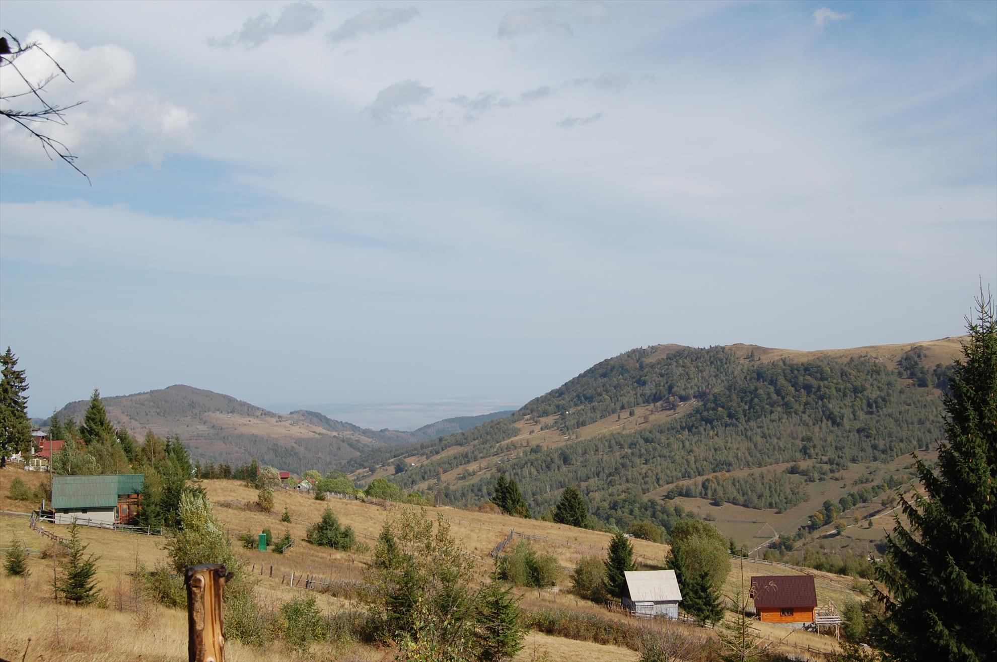 My new passion...2 - dsc002111.JPG